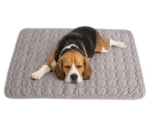 Extra Large Dog Crate Mat,48 X 36 Inch Washable Dog Bed Mat for Crate Mats for Dog Cage Mat Dog Kennel Pad Dog Kennel Mat Dog Crate Liner Dog Beds for Large Dog